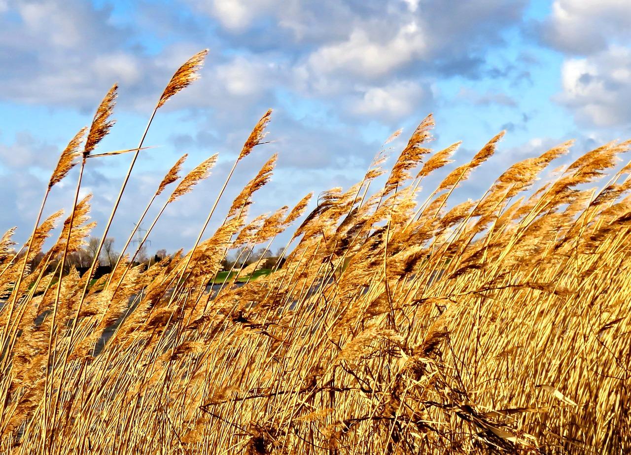 2. 成都水景房产