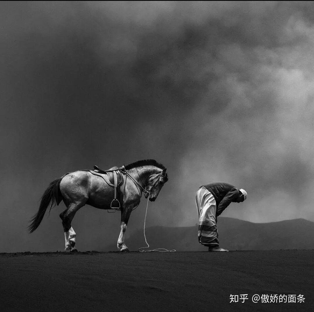 求一个人一匹马鞠躬的图片? - 知乎