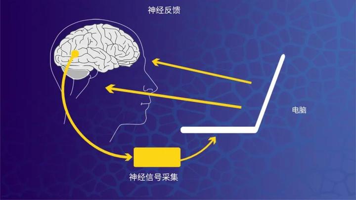 神经反馈1——概述 - 知乎