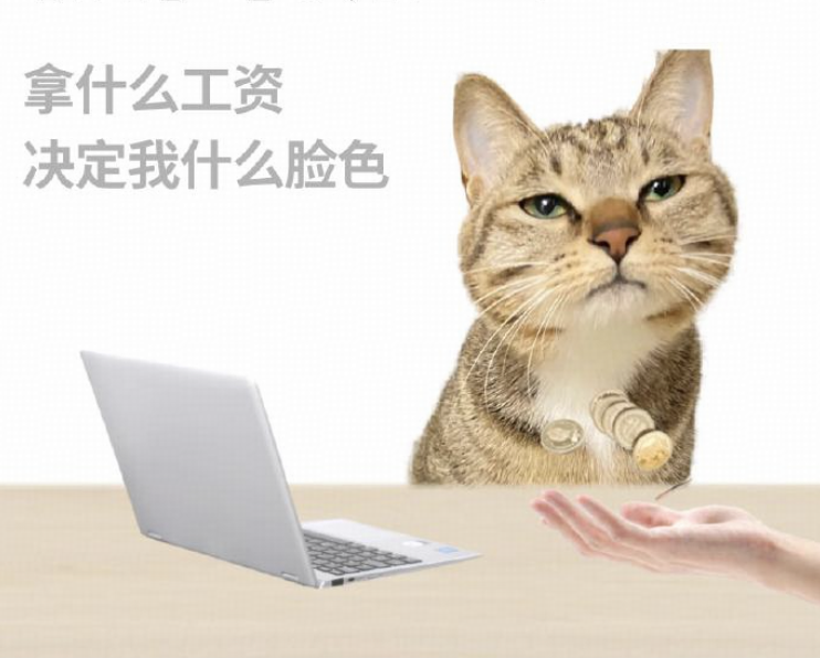 老板当着我领导的面说我做的好给我加薪，可是后面问领导，领导不吱声，我该去找老板吗？