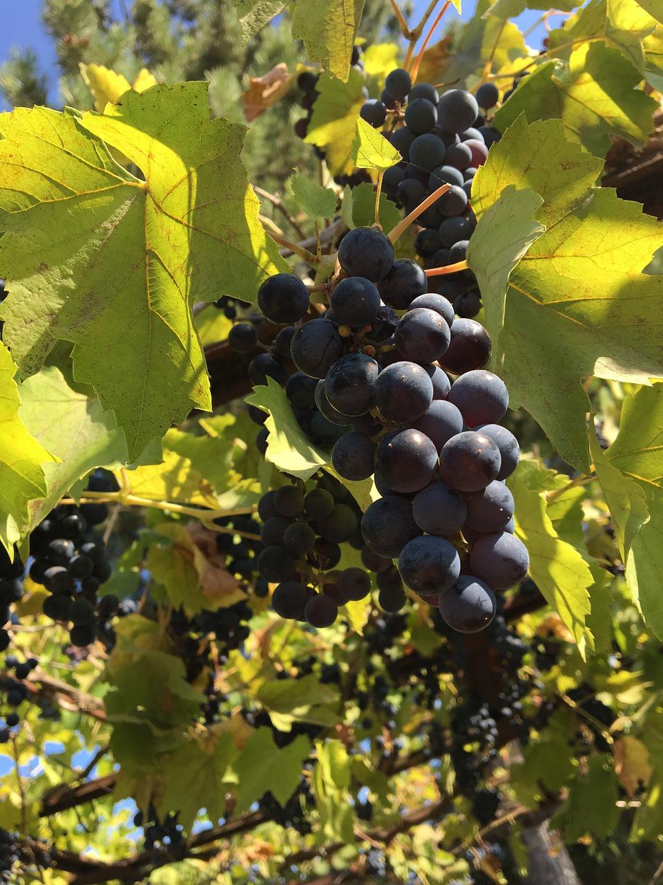 2. 手串颗数风水说