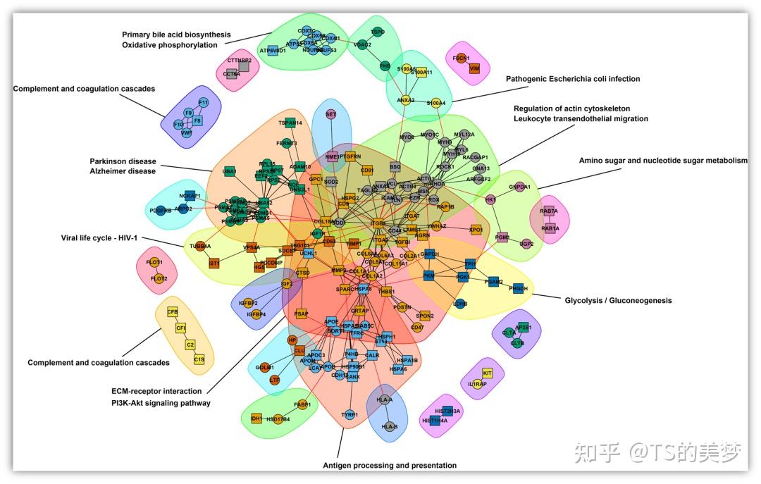 复现《Cell stem cell》图表：STRING互作分析+igraph绘制大型蛋白互作网络图 - 知乎
