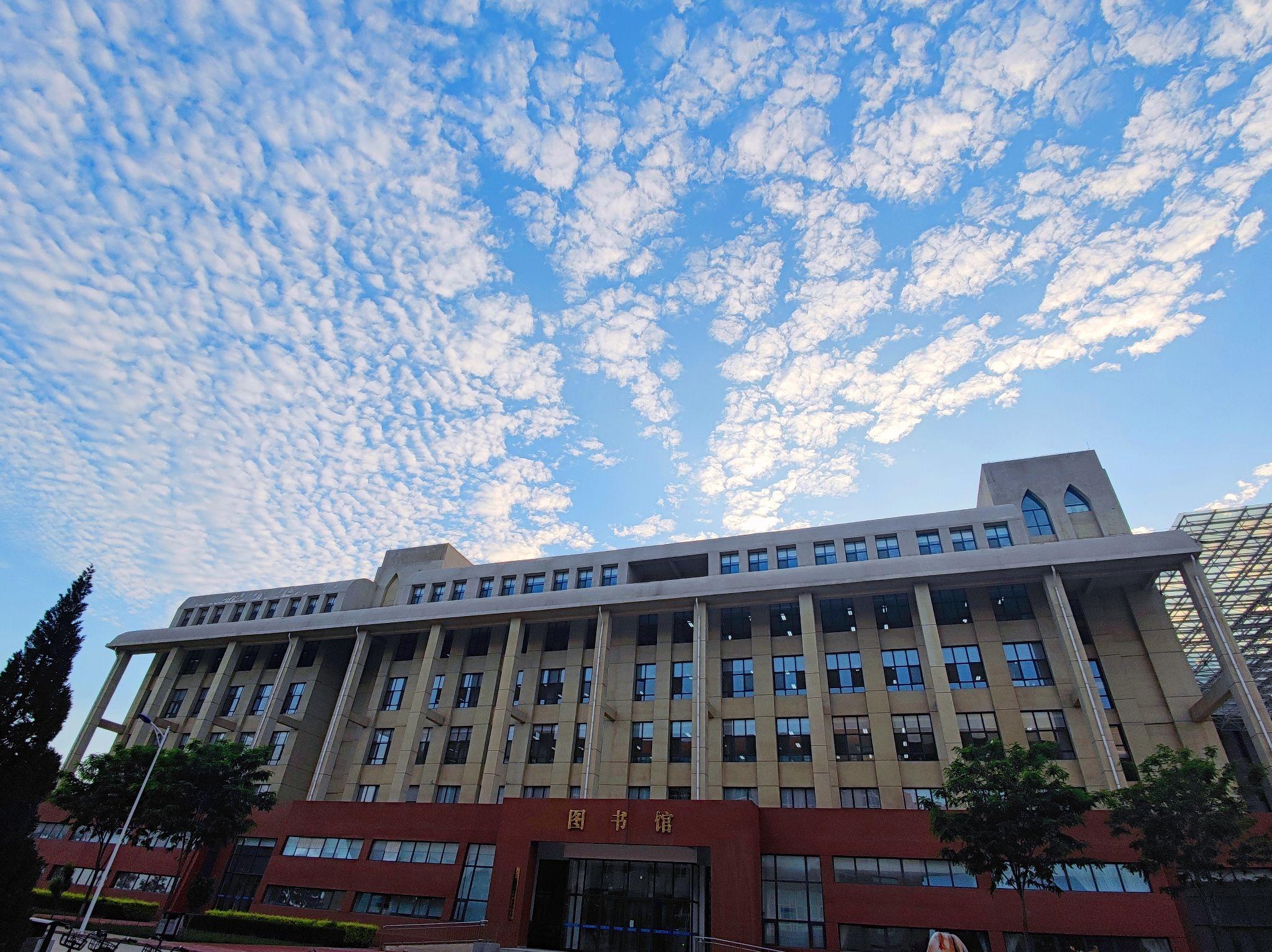 银川能源学院幼师学院图片