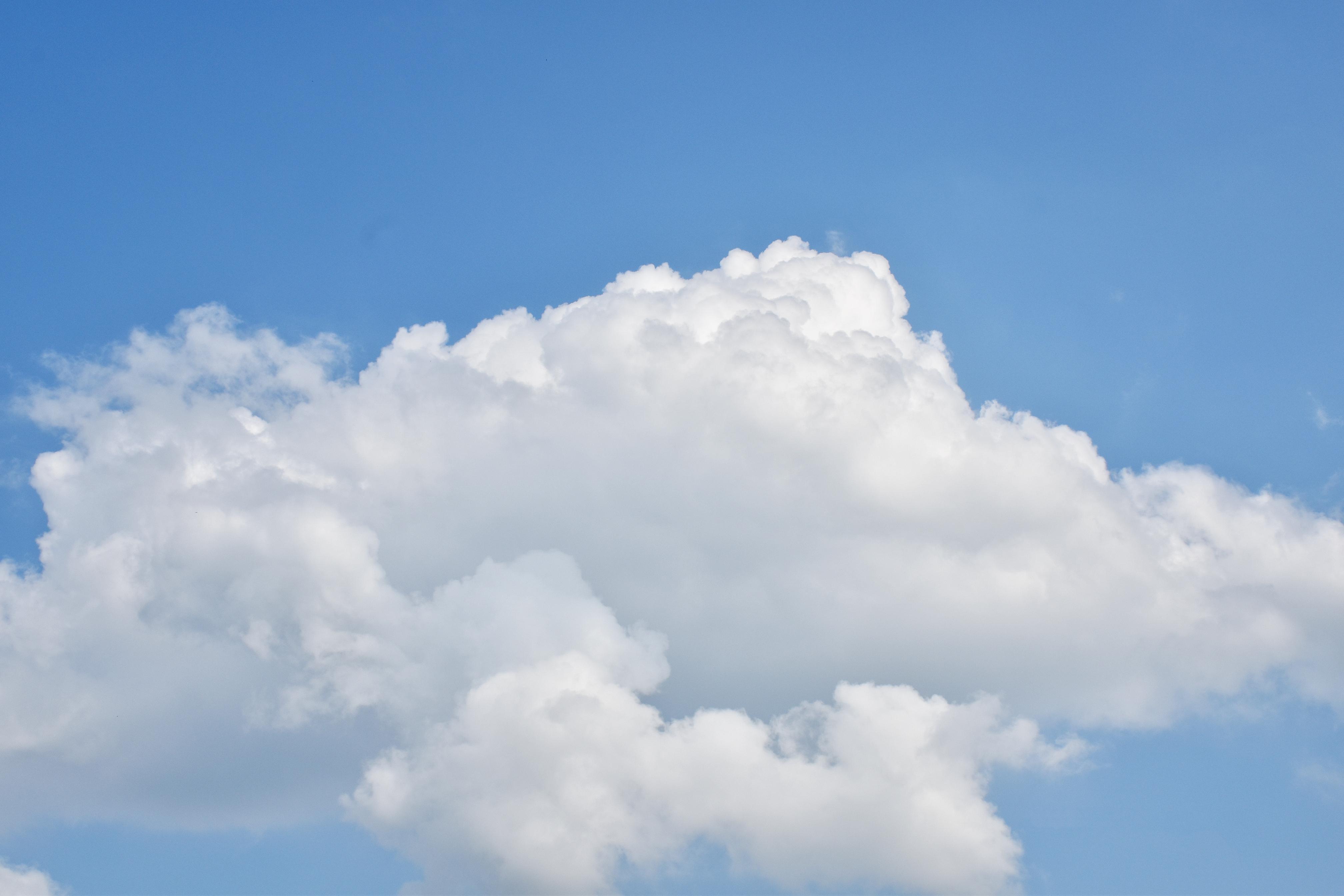 可以分享一下你相册里的小云朵吗