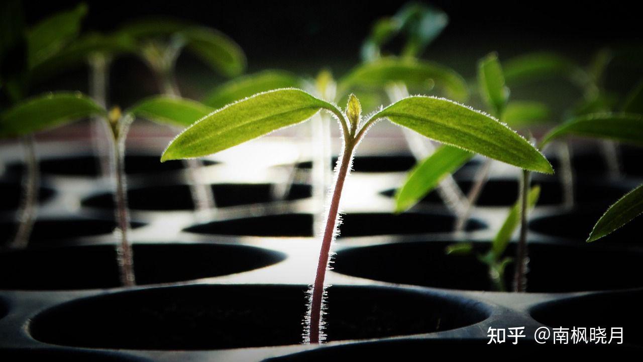 如何提高个人修养,让更多人接受你? - 知乎