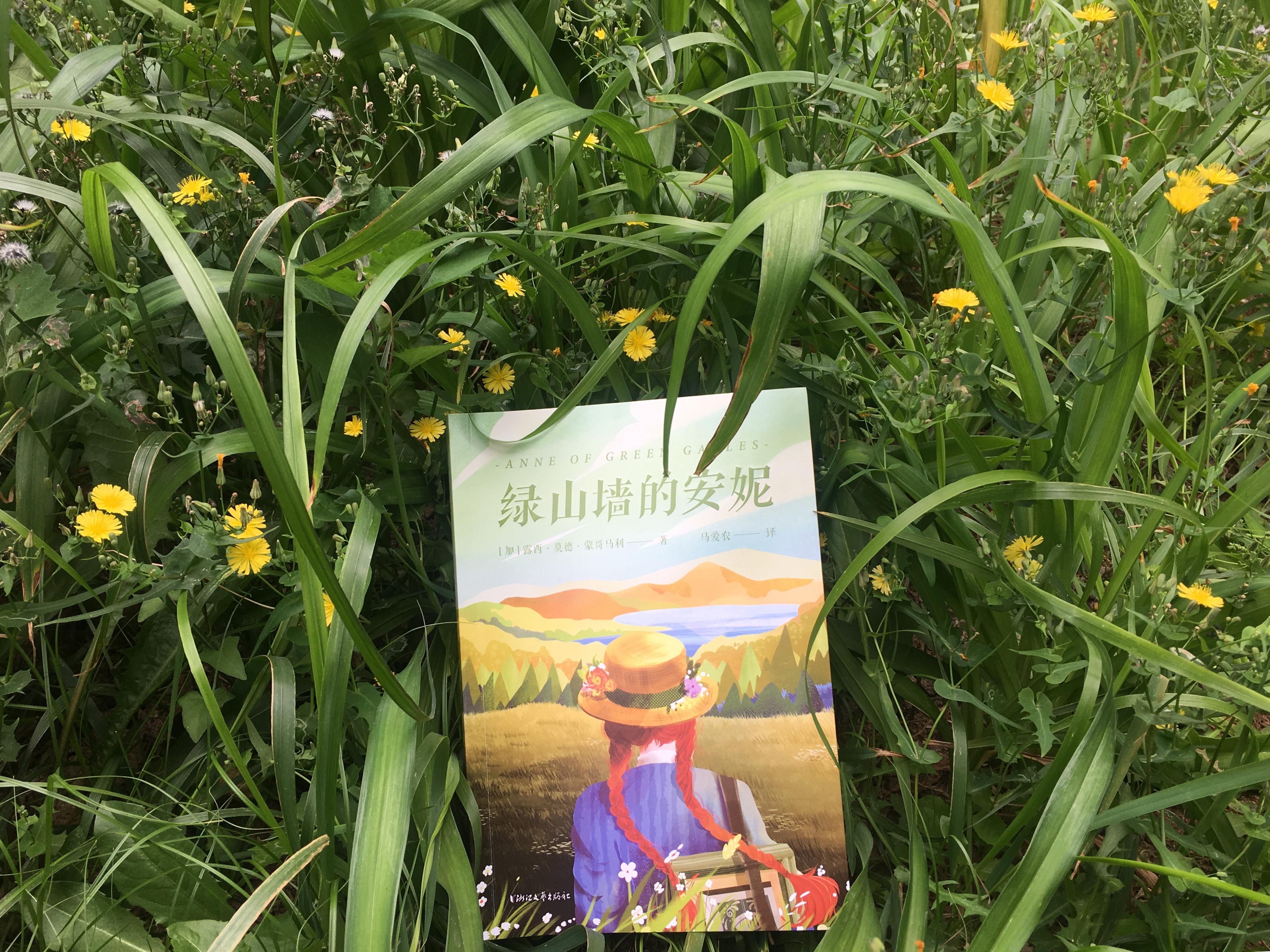 你觉得绿山墙的安妮这本书中主人公安妮在你眼中是个什么样的人