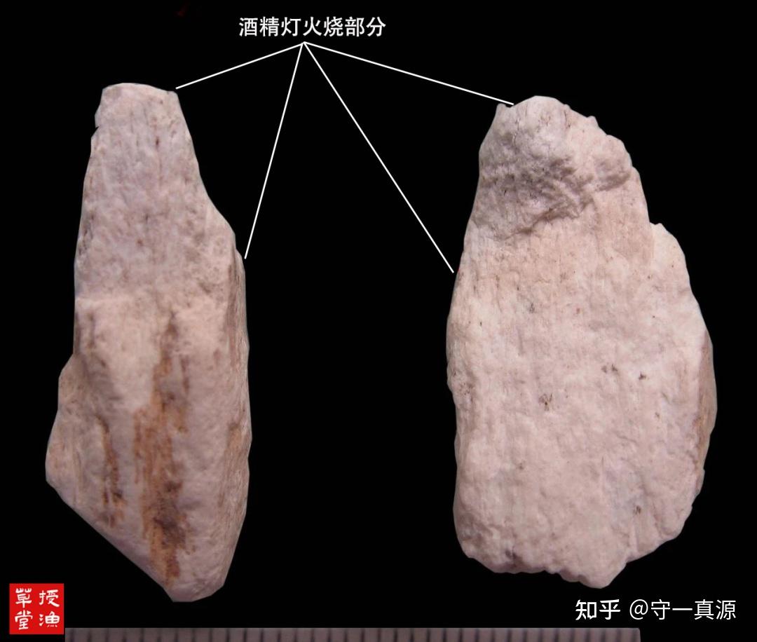 授渔草堂 | 龙骨鉴别图述及产地采挖 - 知乎