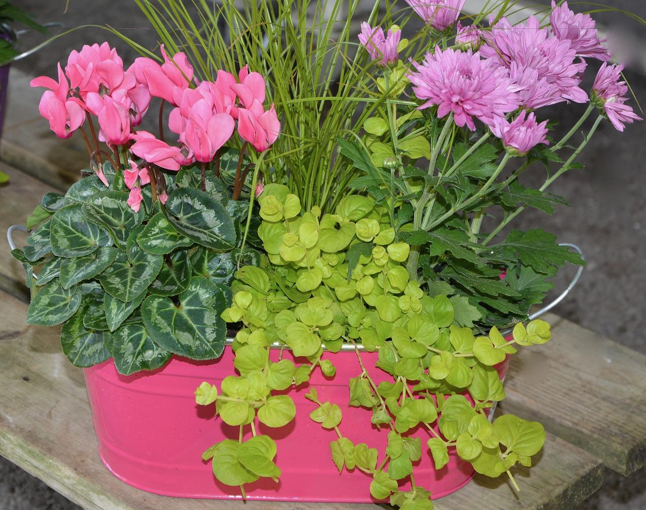 2. 色彩搭配原则