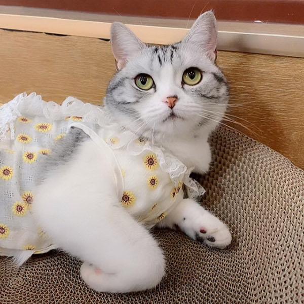 有没有什么惊艳的微信头像?-特别惊艳到人的微信头像