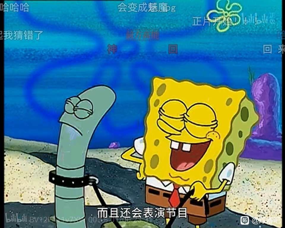 B站_B站_站b站