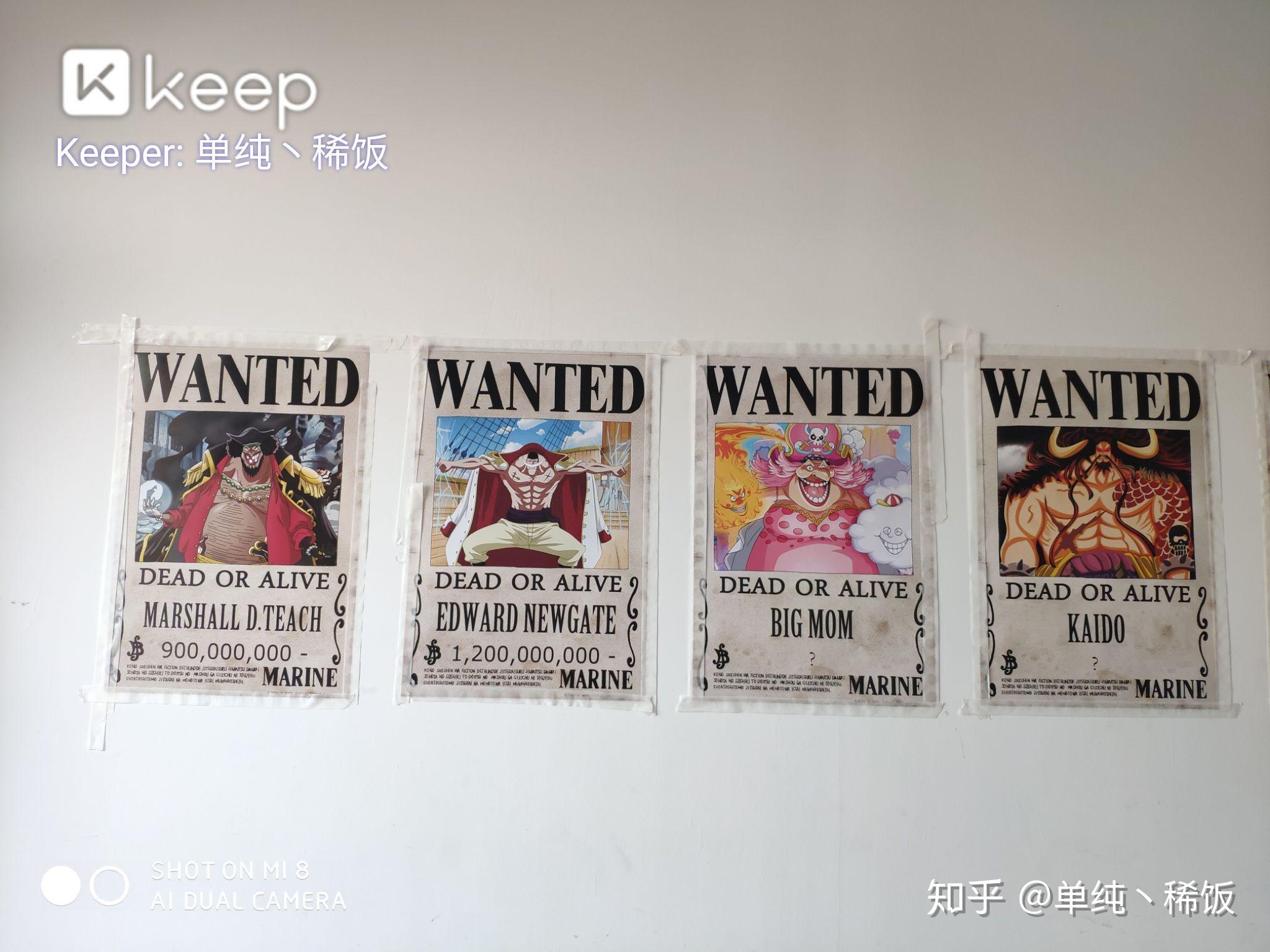 海贼王通缉令照片贴一整面墙怎么贴好看? - 知乎