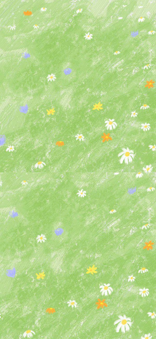 有哪些让你一眼万年的绿色系壁纸?(绿色壁纸大全图片清新自然)