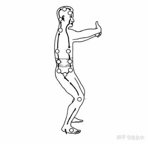 四 站桩的全套标准动作 细节之处出真知 - 知乎