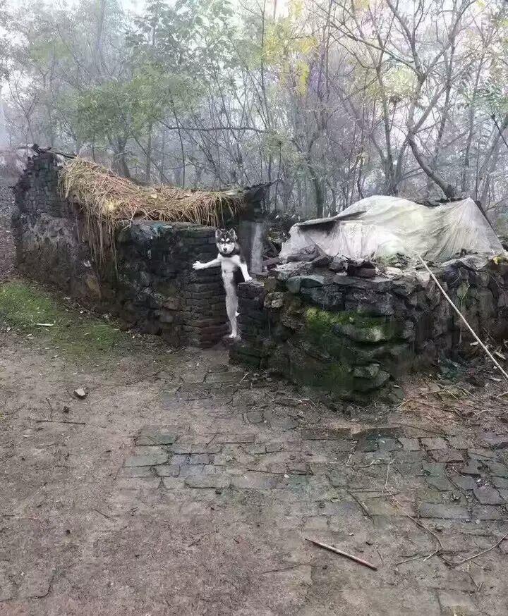 为什么山村老尸第一部看完让人觉得那么恐怖