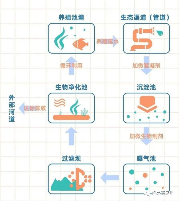 2022牛蛙禁止养殖省份图片