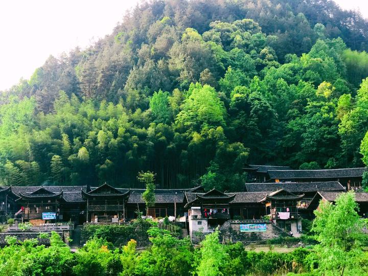 静遥『春の山里』-