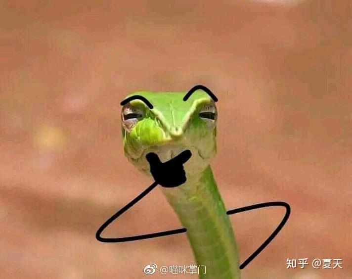 有没有一些蛇的表情包? - 知乎