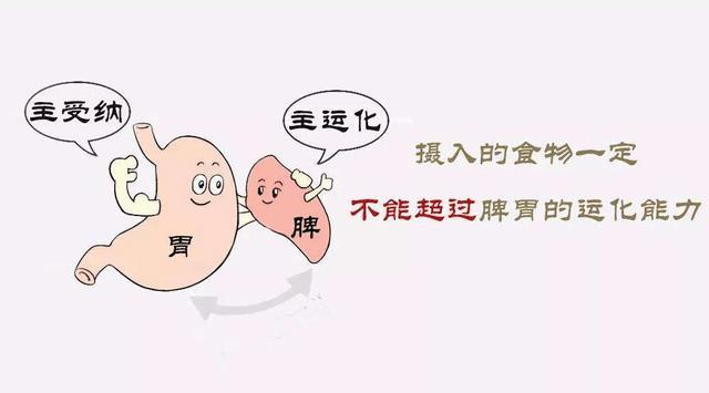 造成脾胃虚弱的原因有哪些?脾胃虚弱怎么调理 - 知乎