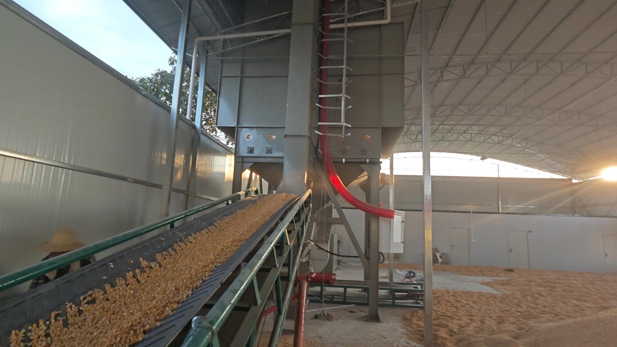 小型玉米烘干设备的工作原理是什么?