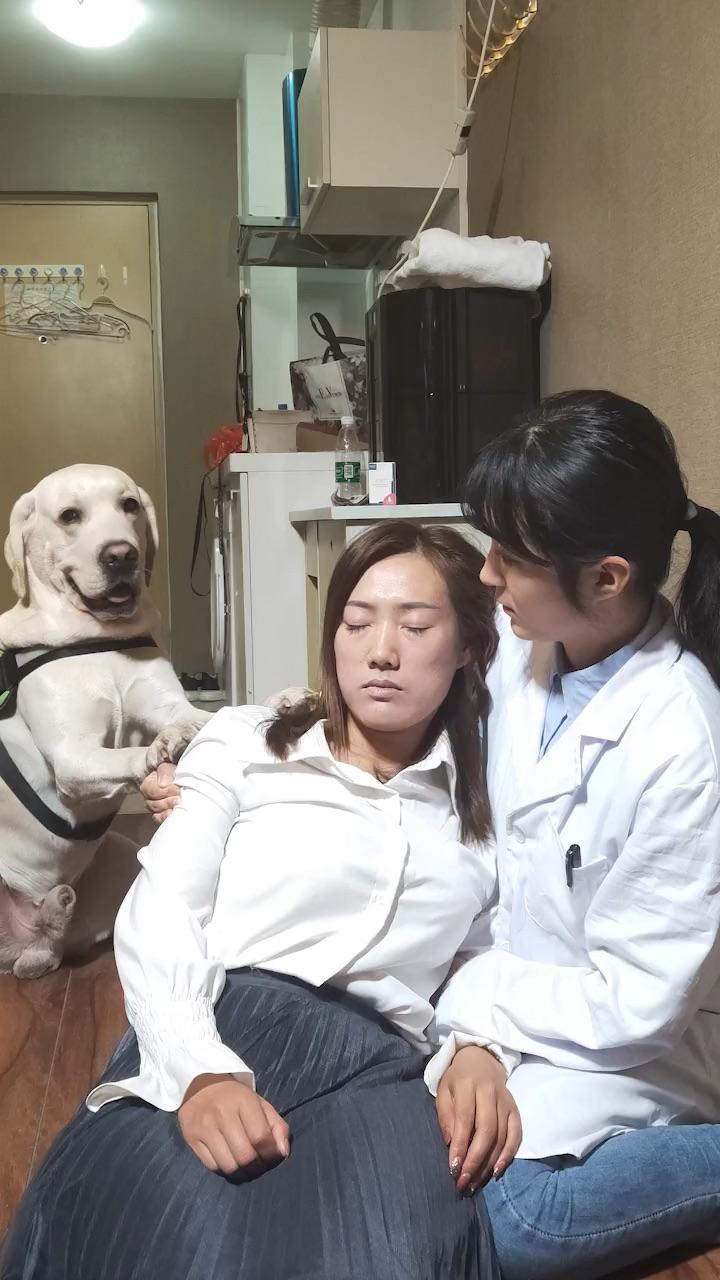 狗狗成精了4 - 知乎