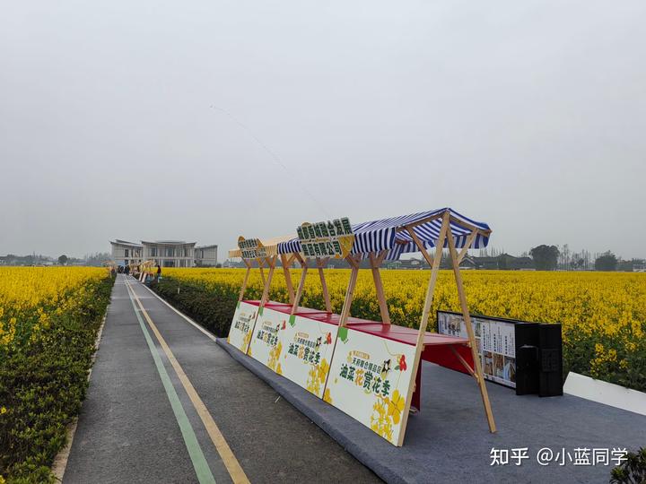 人，可以废物到什么程度？