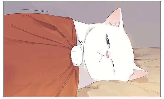 漫画阿闷aman不争气的家猫