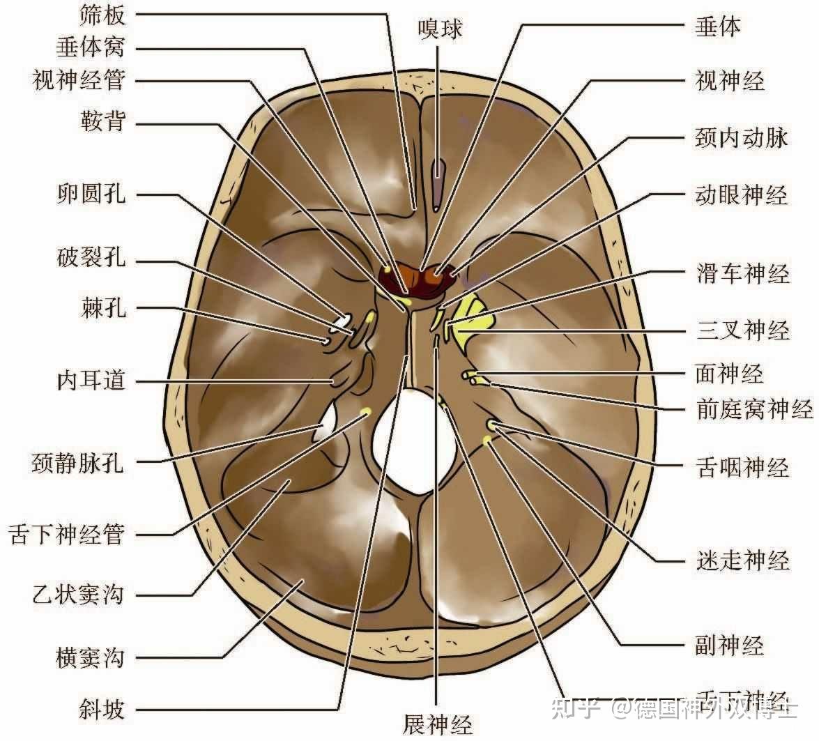 颅底脑膜瘤术后后遗症大吗?