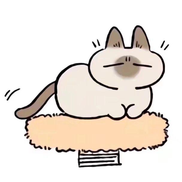 你们有这个暹罗猫的表情包么