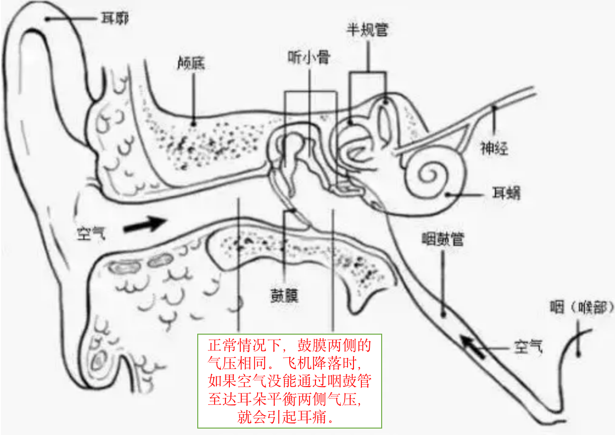 剧烈运动后出现耳闷,耳堵的现象是否正常?