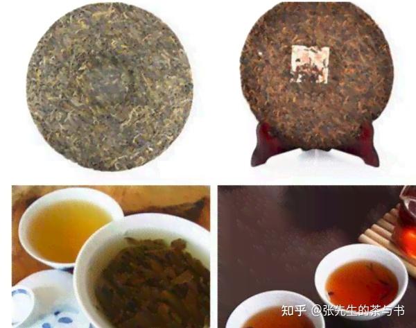 生普与熟普:普洱茶的双重魅力 - 知乎