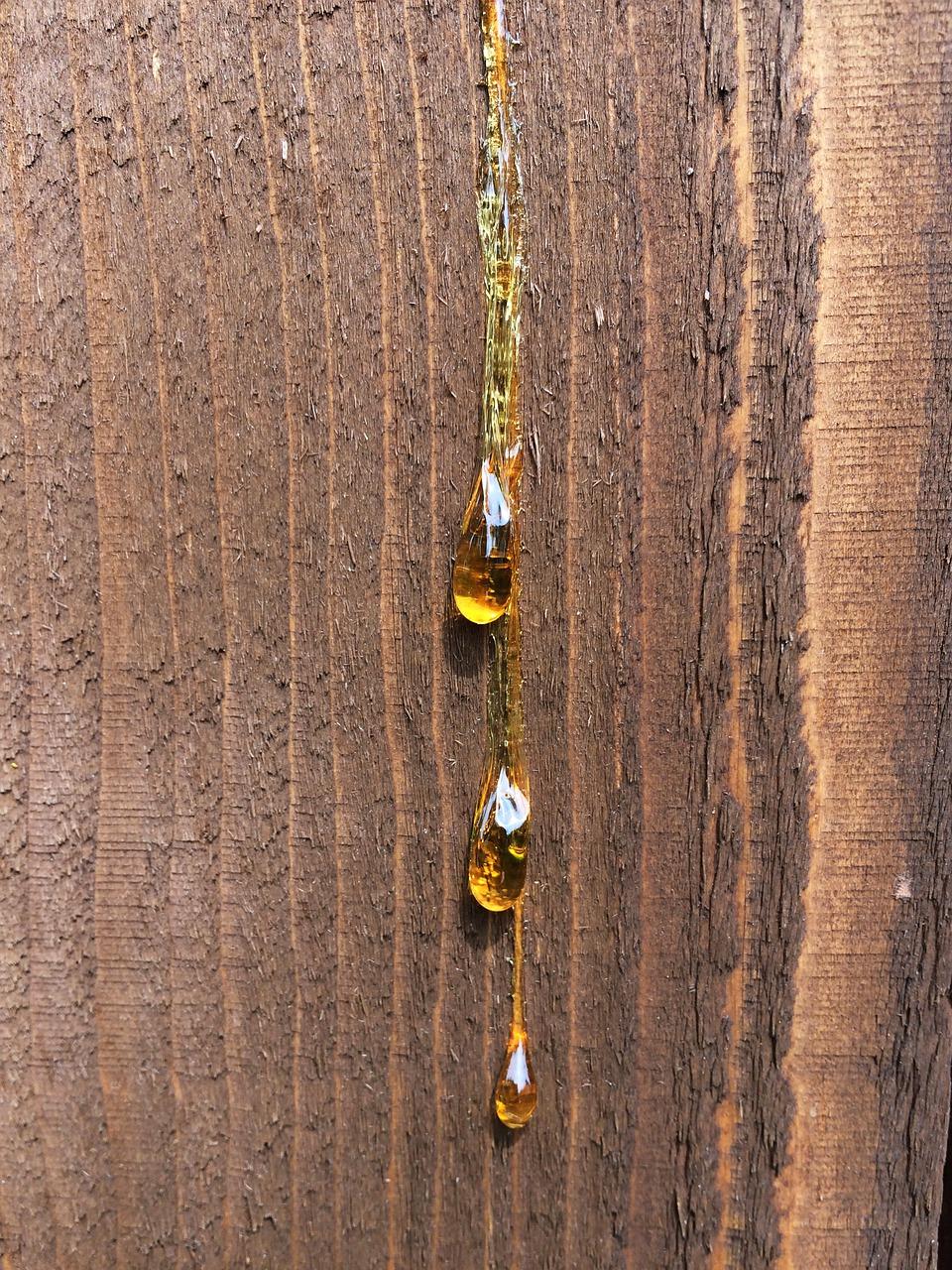 实木和树脂怎么分辨