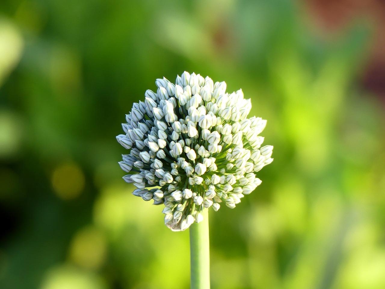 4. 种植季节选择