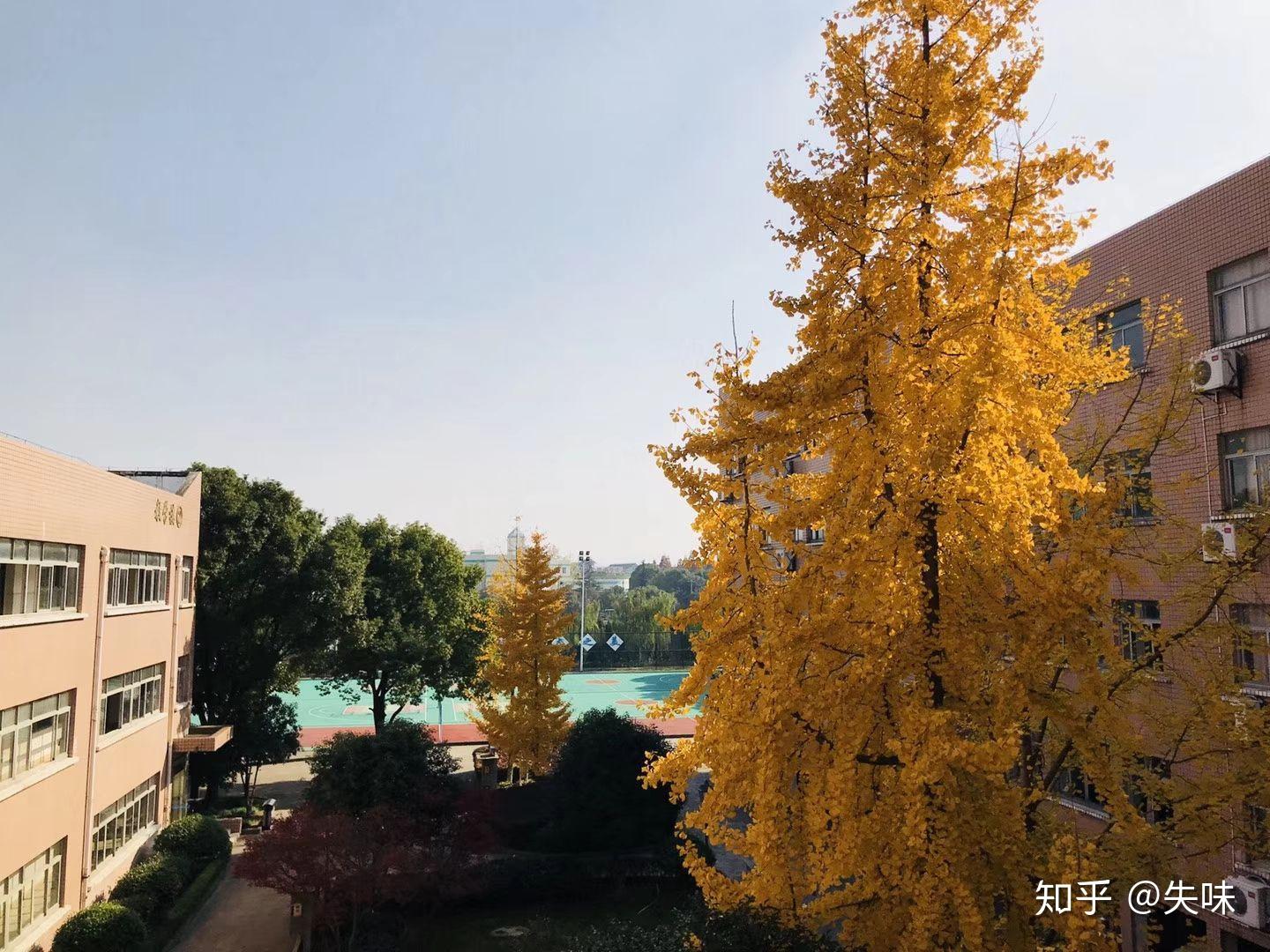 在慈溪三山中学读书是一种怎么样的体验? - 知乎