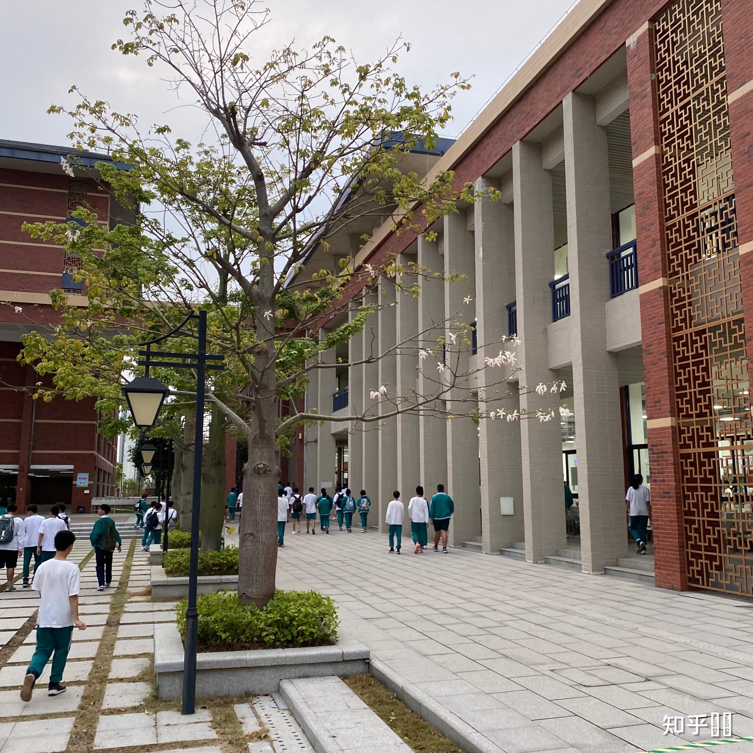 在广东实验中学珠海金湾学校金湾一中就读是什么体验