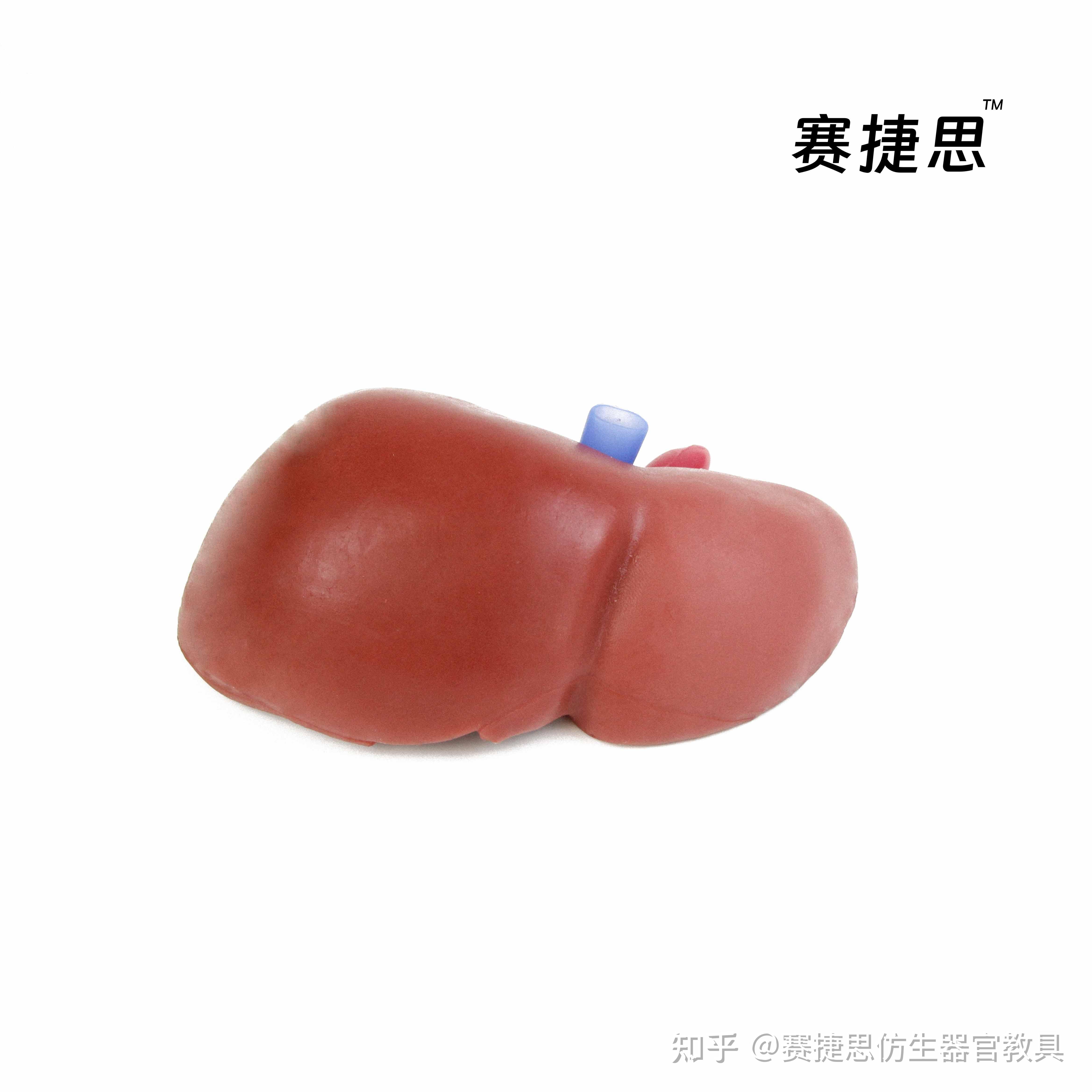 国家级高层次人才！钱宇华已任山大副校长