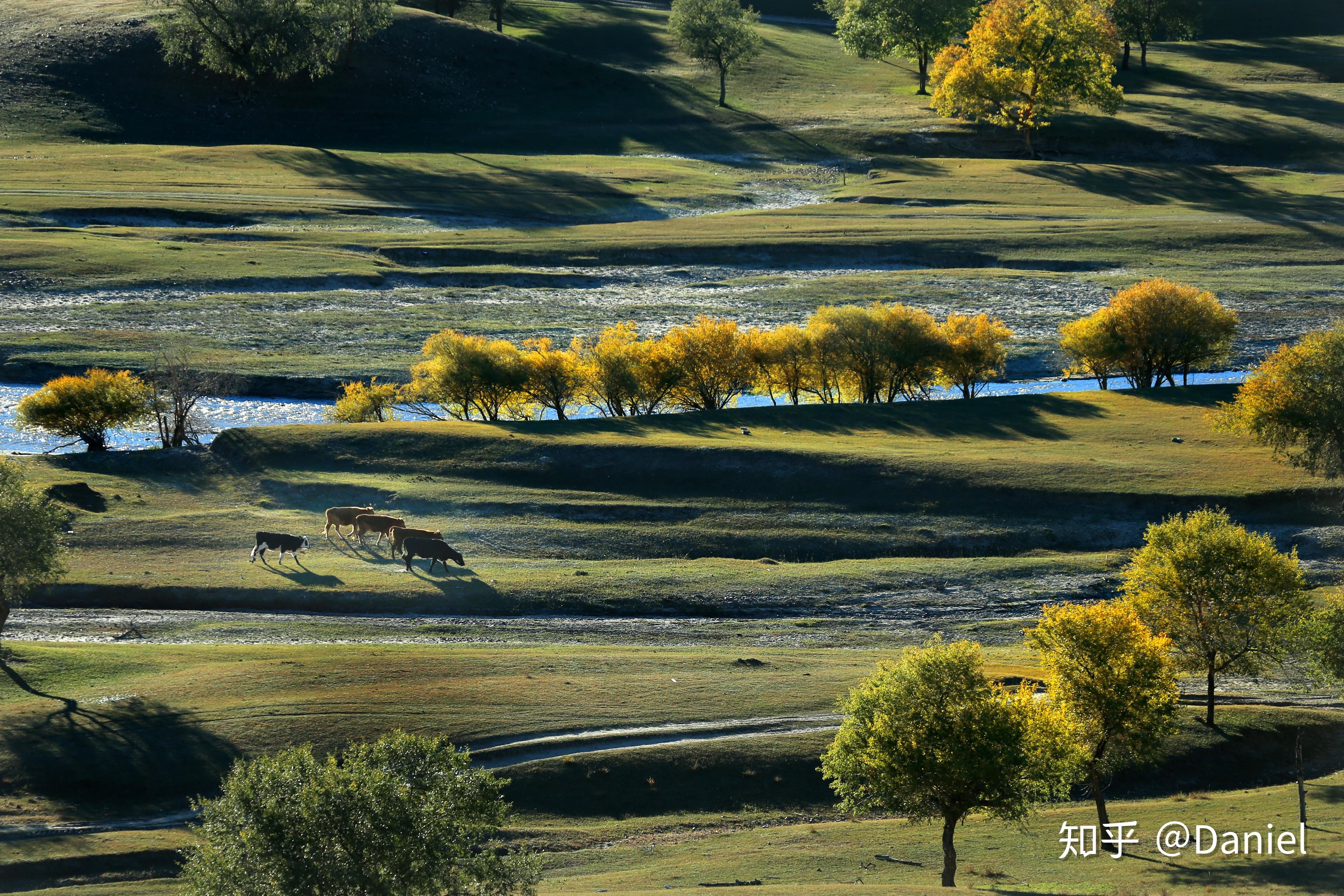 78月份去国内哪里旅游较好