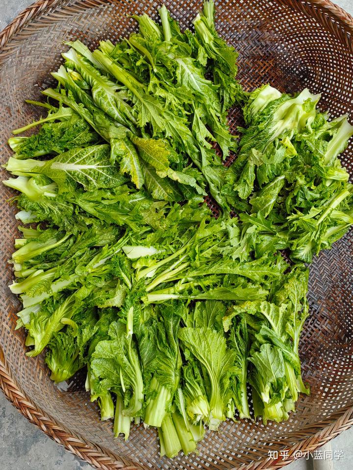 人，可以废物到什么程度？