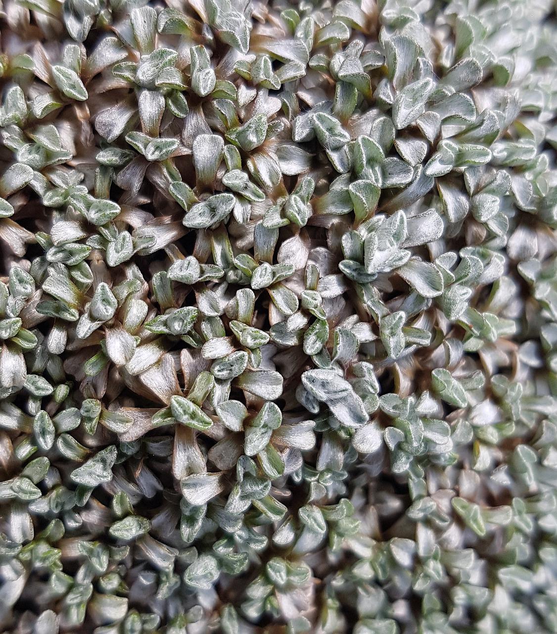 什么的地面什么的地毯