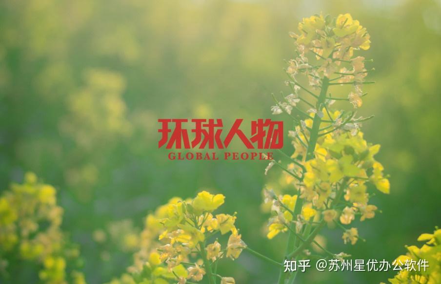 图片如何加logo?步骤详细一看就学会 - 知乎