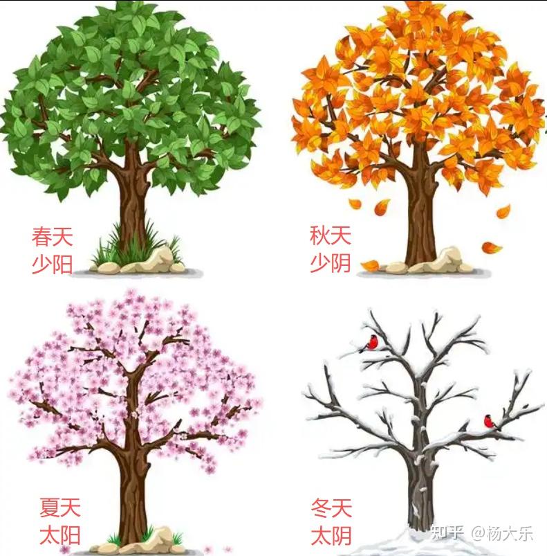 为什么要给天干和地支划分五行？ - 知乎