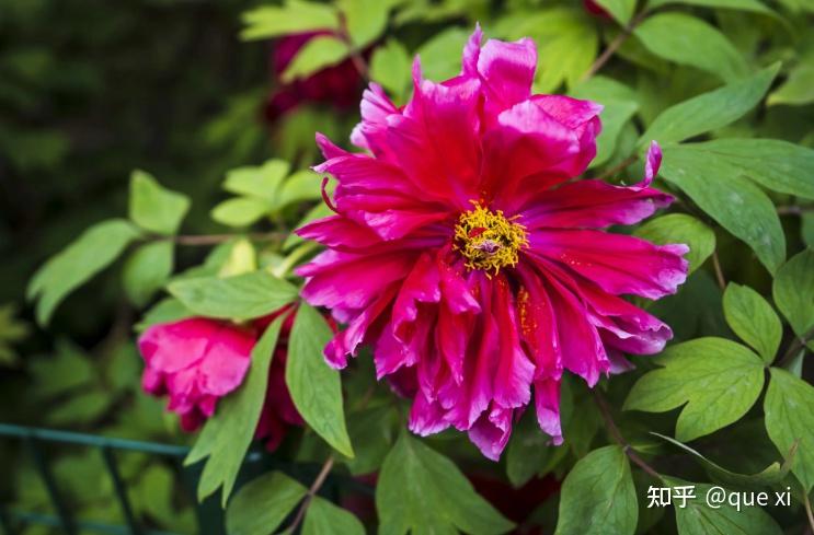 五一出行如何才能避开「人山人海」？