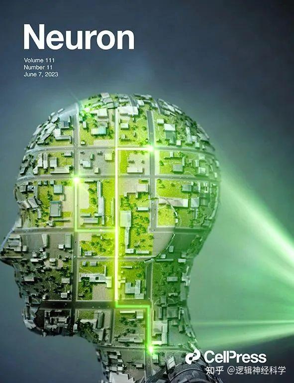 Neuron︱收藏！2023年期刊封面文章汇总 - 知乎