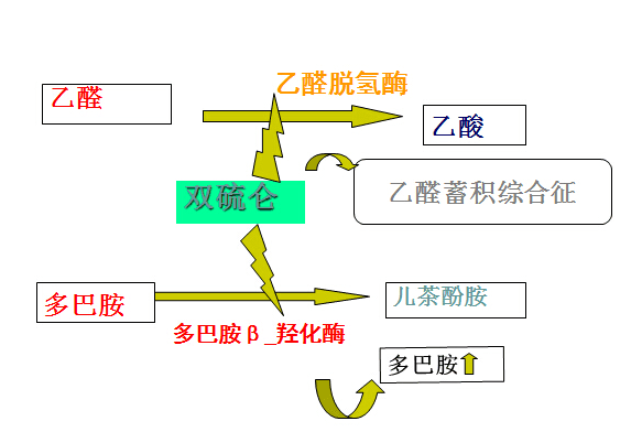 引起双硫仑样反应药物一览表 - 知乎