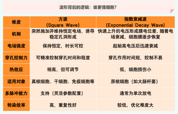 一文看懂:方波 vs 指数衰减波,电转染到底选谁? - 知乎