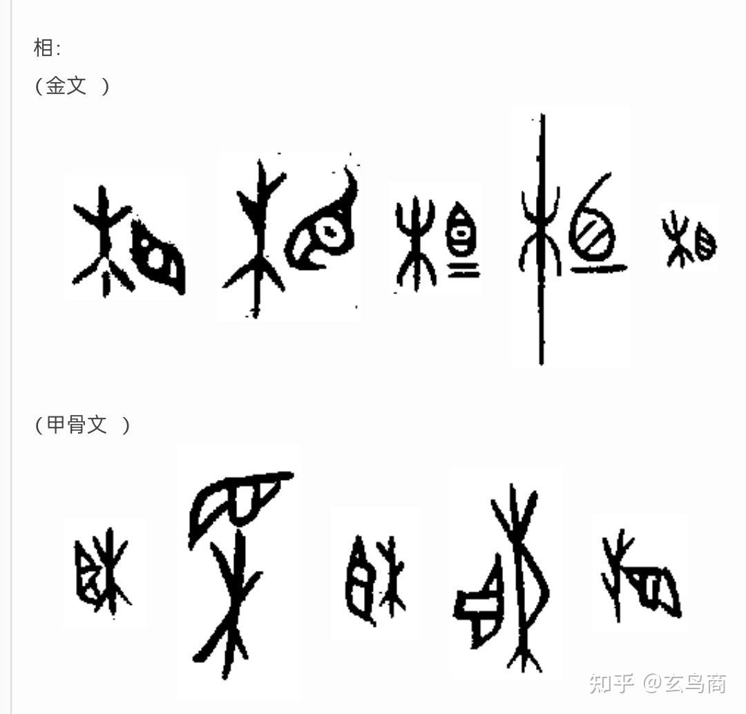 土字甲骨文怎么写图片