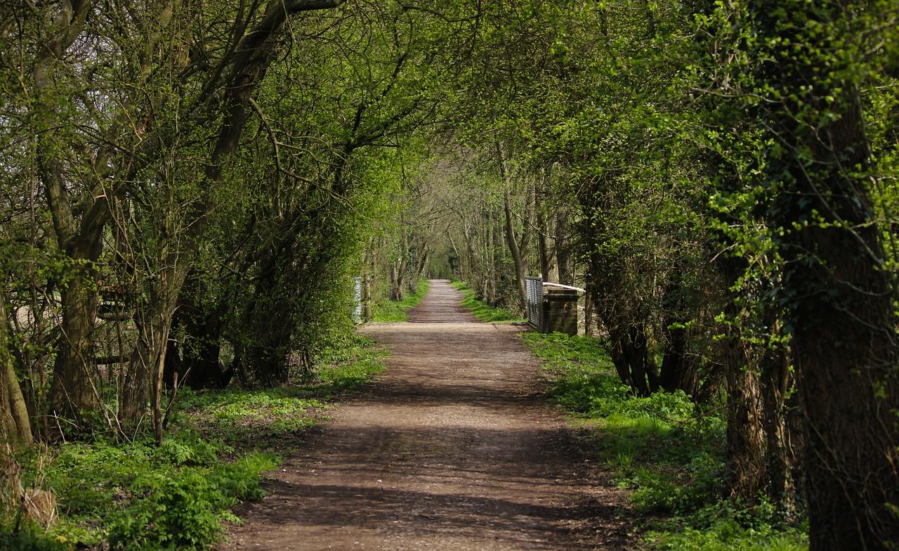 户内走廊宽度多少合适