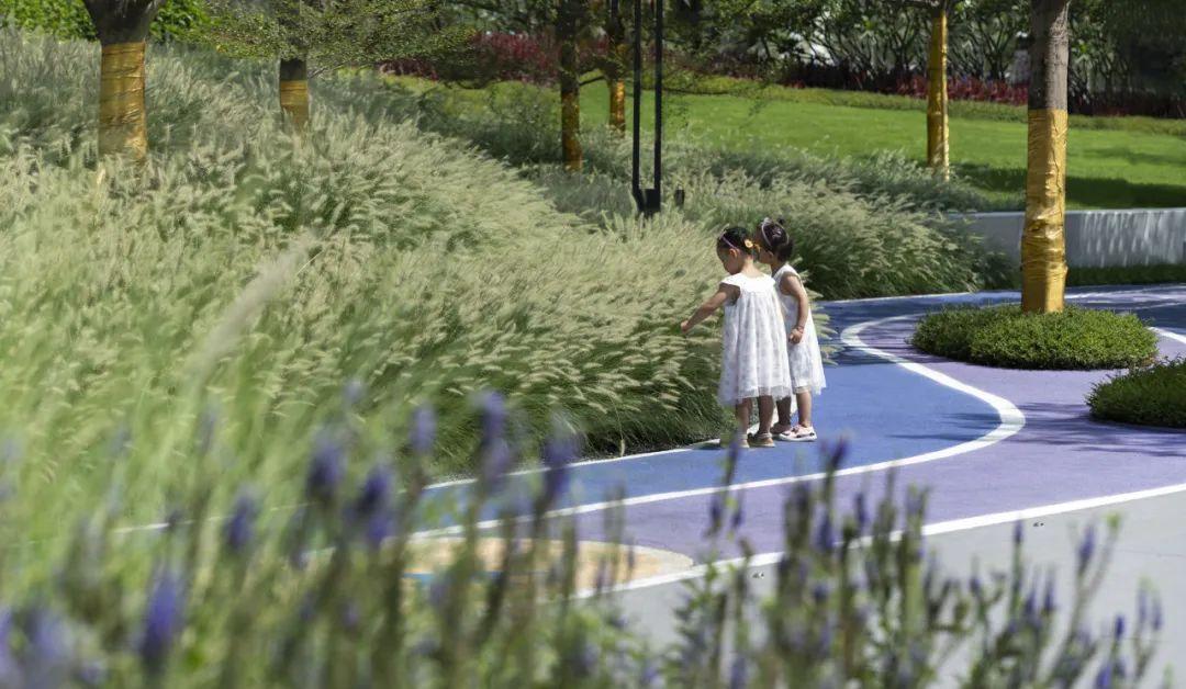 六大创新植物设计案例,编织都市生态空间新纪元 | 栖地设计 - 知乎