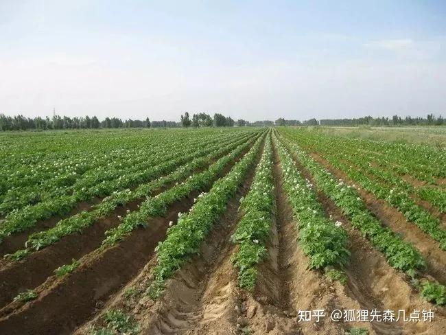 中国古代农业经济有什么特征？ - 知乎