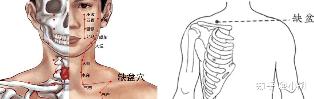 倪海厦针灸课笔记(10)足阳明胃经 上 - 知乎