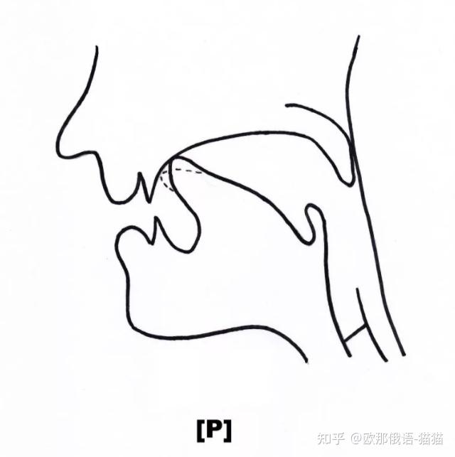 俄语弹舌图解图片